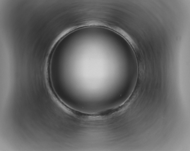 X0000112391142200908131544