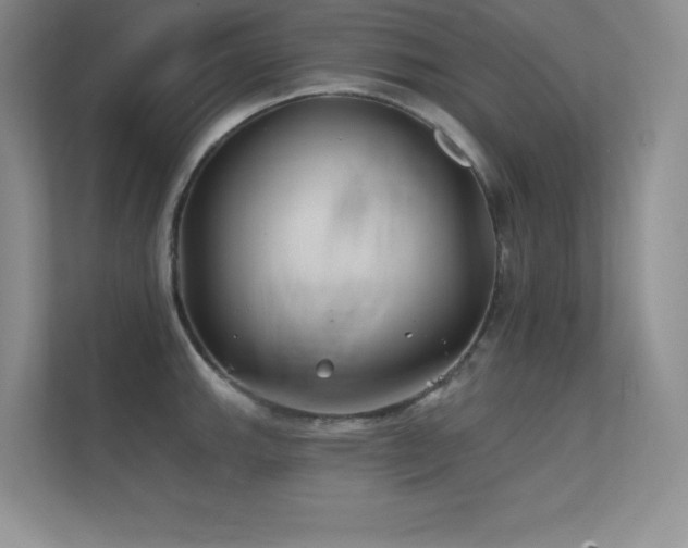 X0000112391143200908131544