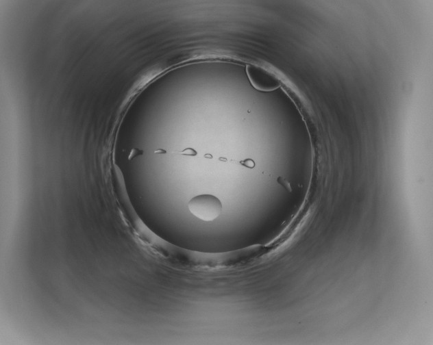 X0000112391145200908131544