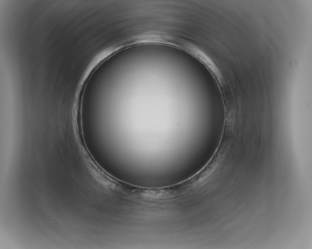 X0000112391146200908131544