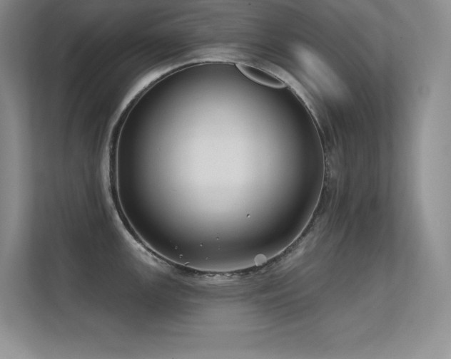 X0000112391147200908131544