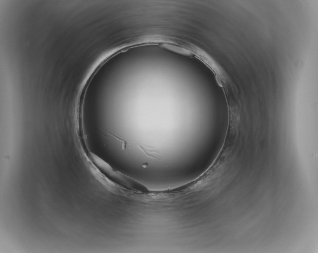 X0000112391148200908131544