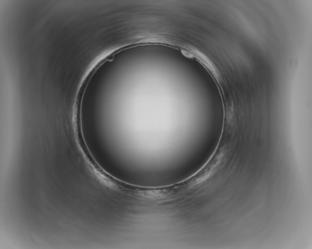 X0000112391149200908131544