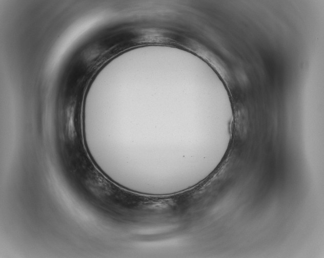 X0000112391150200908131544