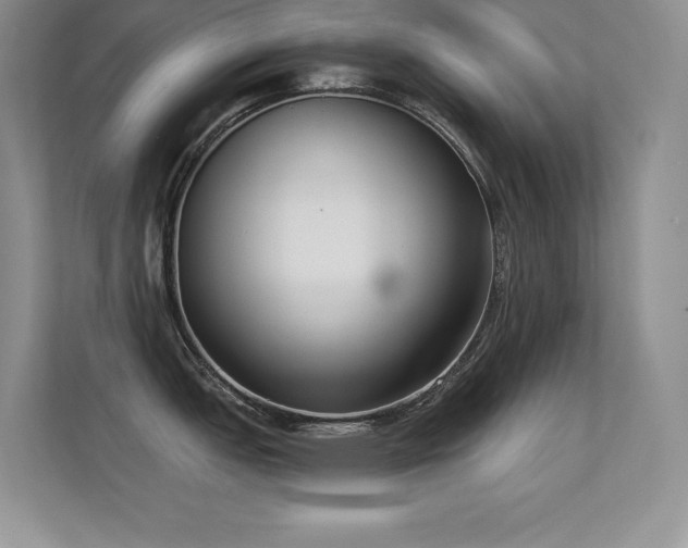 X0000112391151200908131544