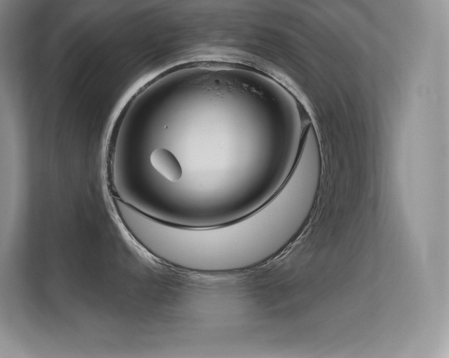 X0000112391152200908131544