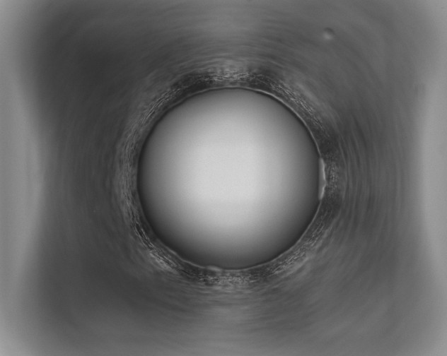 X0000112391153200908131543