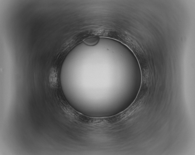 X0000112391154200908131543