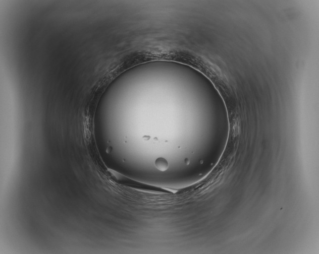 X0000112391156200908131543