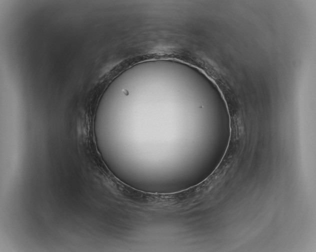 X0000112391158200908131543