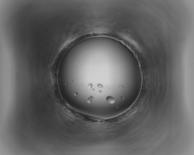 X0000112391160200908131543