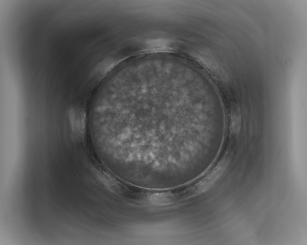 X0000112391161200908131543