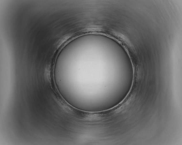 X0000112391162200908131543