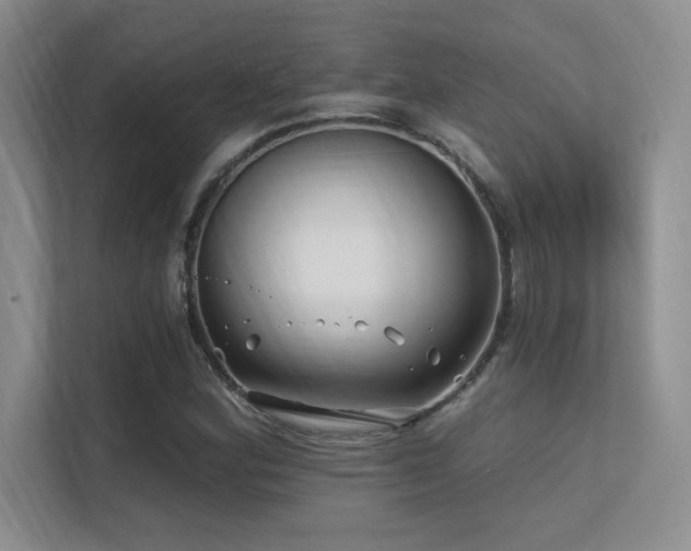 X0000112391164200908131543