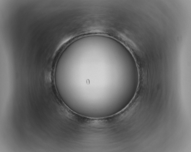 X0000112391166200908131543