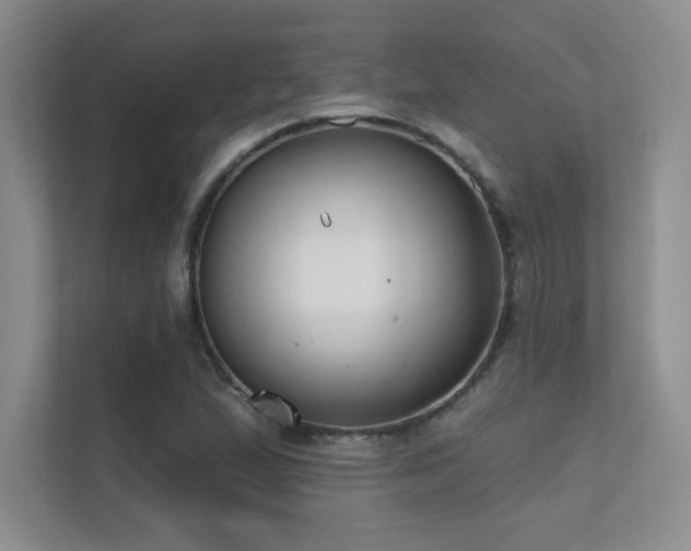 X0000112391167200908131543