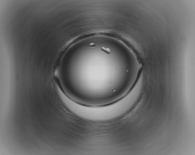 X0000112391169200908131543