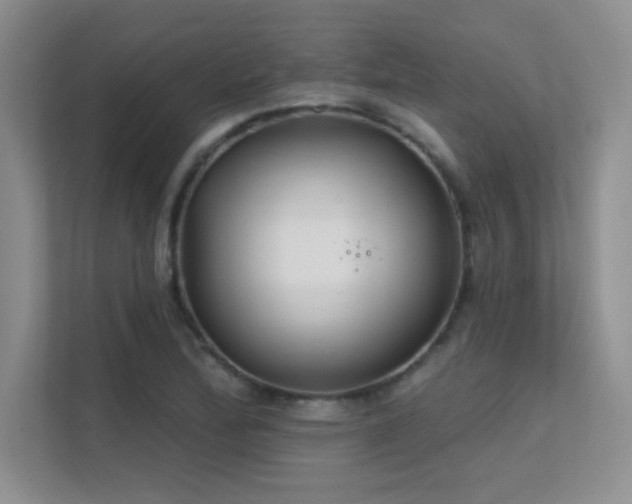 X0000112391172200908131543