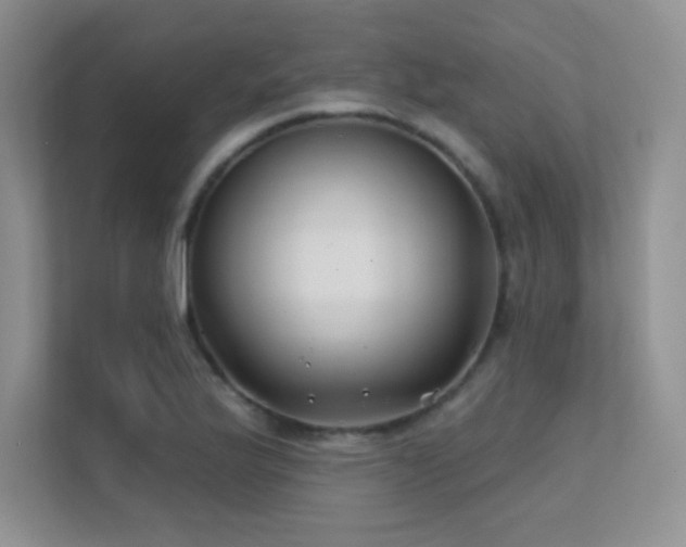 X0000112391175200908131543