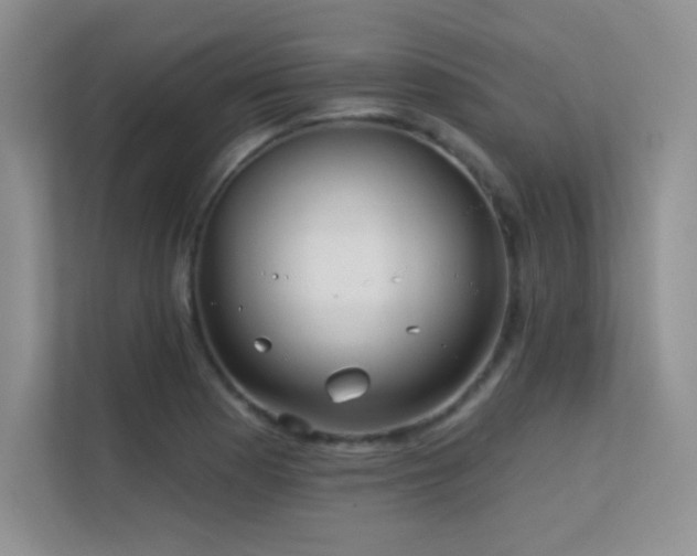 X0000112391177200908131543