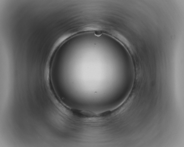 X0000112391179200908131543