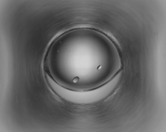 X0000112391181200908131543