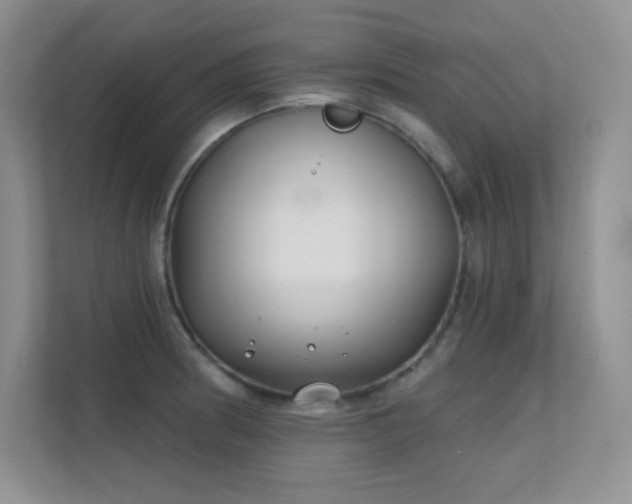 X0000112391186200908131543