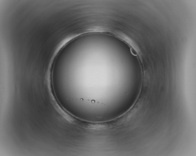 X0000112391187200908131543