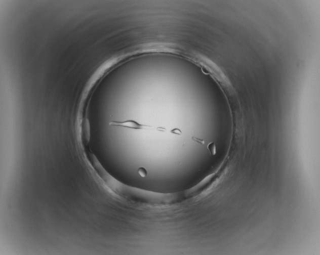 X0000112391188200908131543