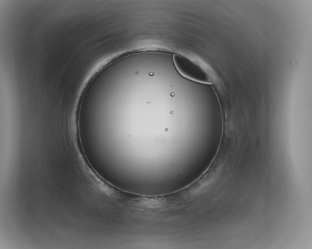 X0000112391191200908131543