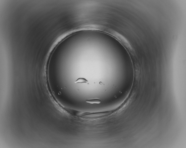 X0000112391192200908131543