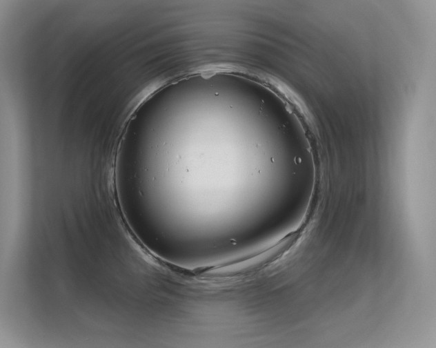 X0000112391193200908131543