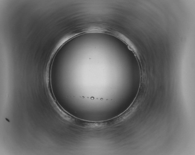 X0000112391195200908131543