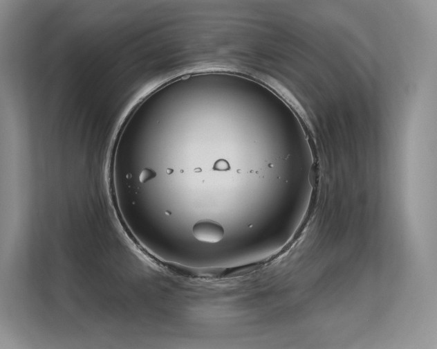 X0000112391197200908131543