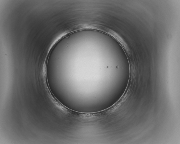 X0000112391198200908131543