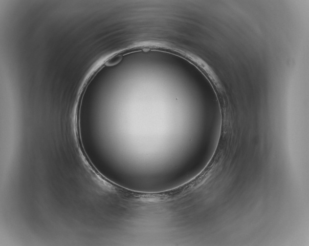 X0000112391199200908131543