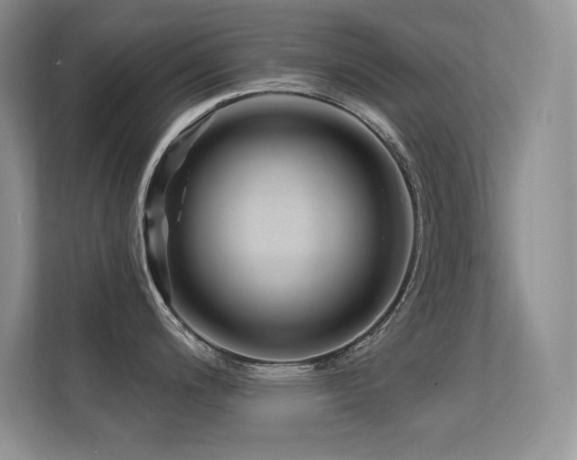 X0000112391200200908131543