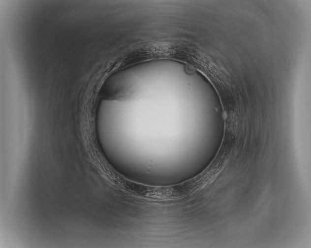 X0000112391201200908131542