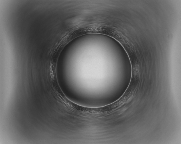 X0000112391202200908131542