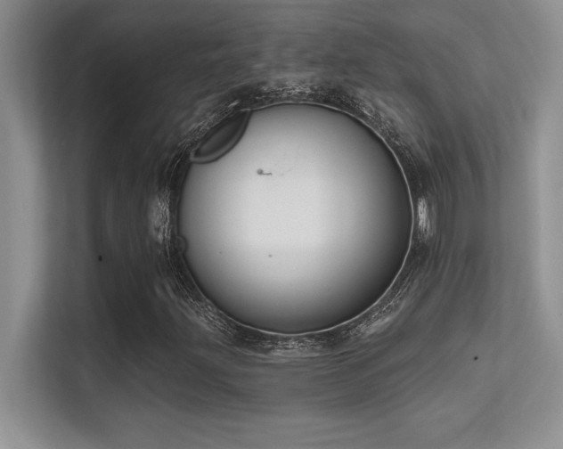 X0000112391203200908131542