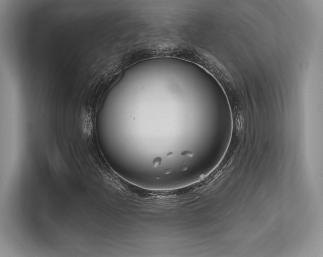 X0000112391204200908131542