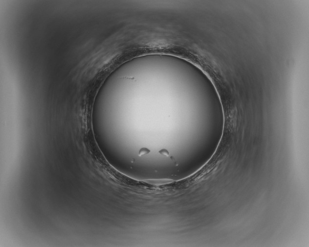 X0000112391205200908131542