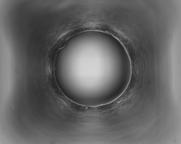 X0000112391206200908131542