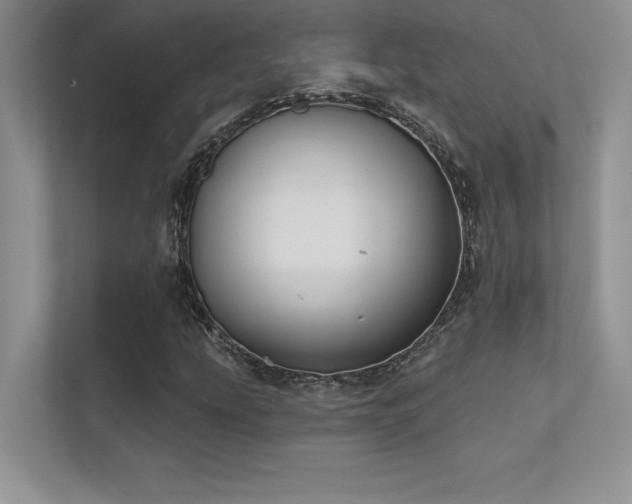 X0000112391207200908131542