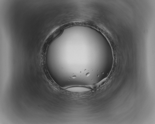 X0000112391208200908131542