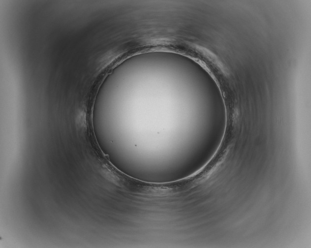 X0000112391209200908131542