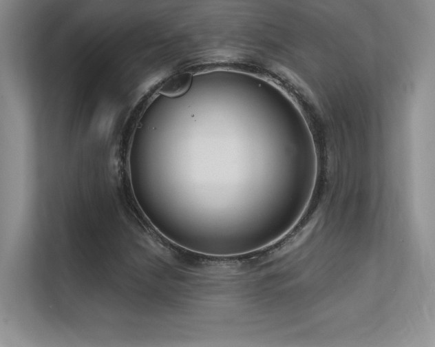 X0000112391210200908131542