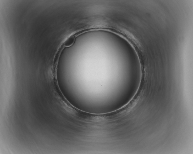 X0000112391212200908131542