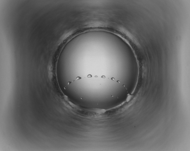 X0000112391213200908131542