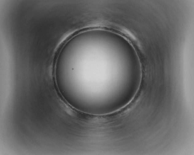 X0000112391216200908131542